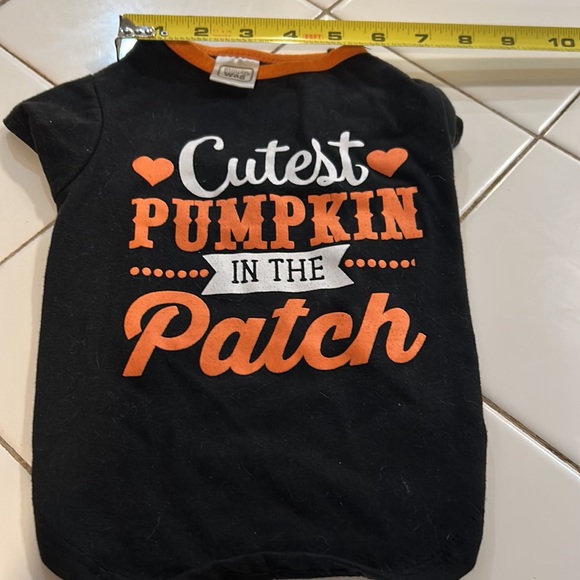 Cutest pumpkin  in the patch doggy dress - Picture 2 of 6